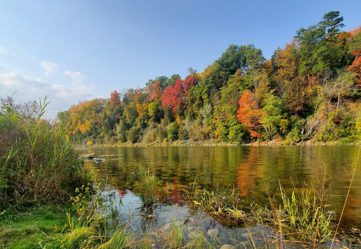 Landscape Walter Bean Grand River Trail.jpg